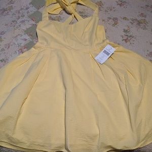 NWT Yellow Livingston